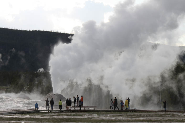 Yellowstone Guysers