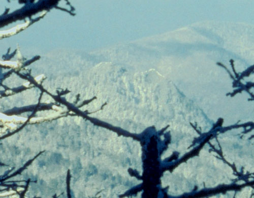 The Chimney Tops from the Appalachain Trail