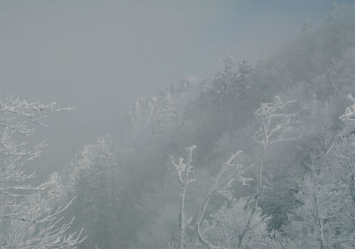 The Outcropping between Masa Knob and Charlie's Bunion