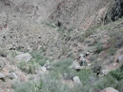 Looking back at the group and the trail behind us