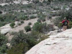 Moving off the rocks and the desert floor